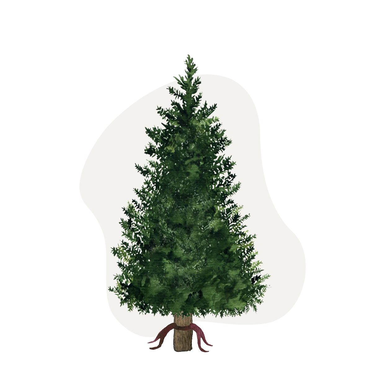 Cut Tree 7ft Fraser Fir - D/O