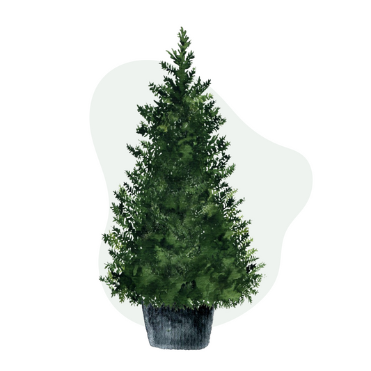 Living Trees