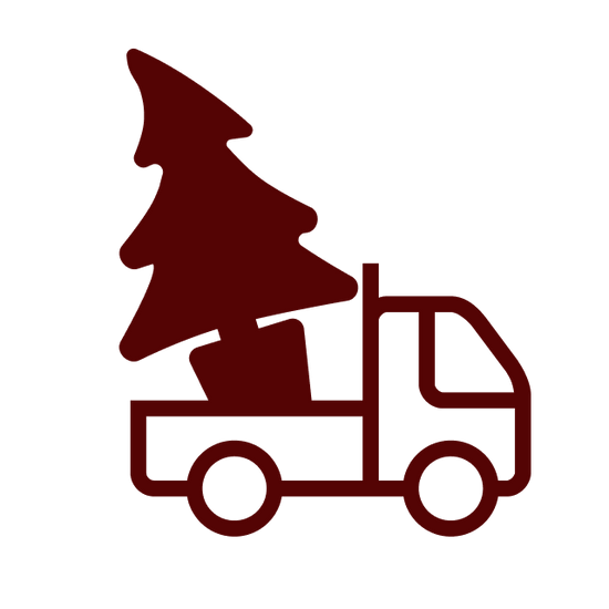 Vancouver Christmas Tree Delivery Order Online Now Evergrow