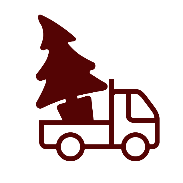 Vancouver Christmas Tree Delivery Order Online Now Evergrow